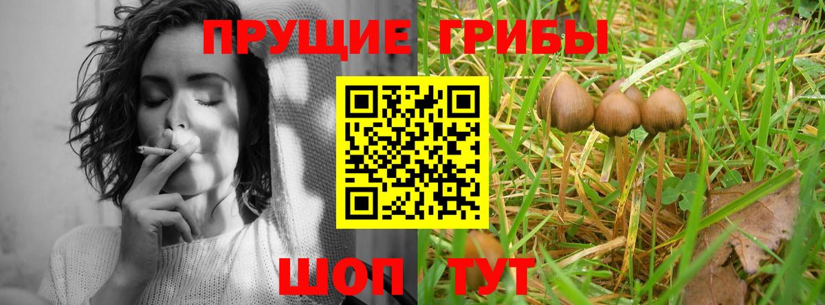 Галлюциногенные грибы прущие грибы  Вход с VPN  Новосибирск 