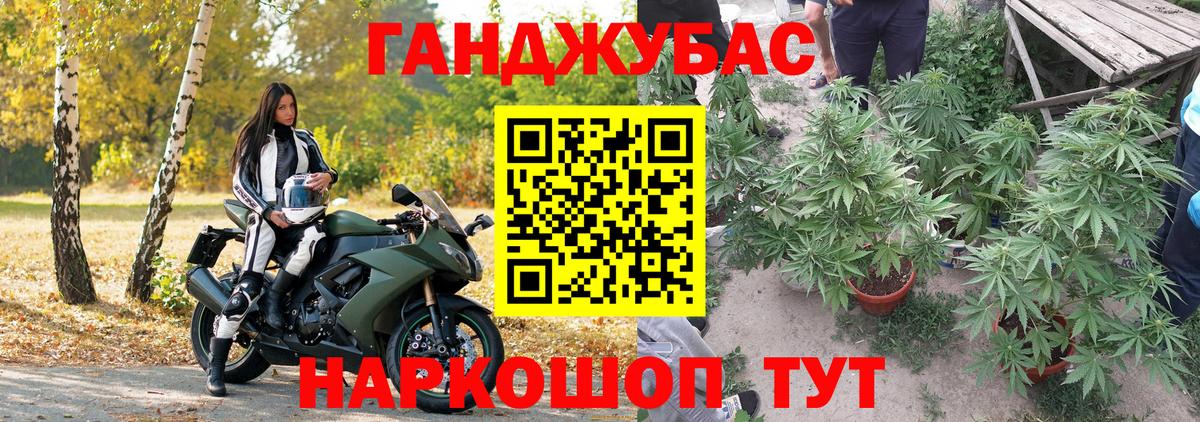 Марихуана индика  Конопля AK-47  Шишки марихуана планчик  Новосибирск  Вход с VPN 